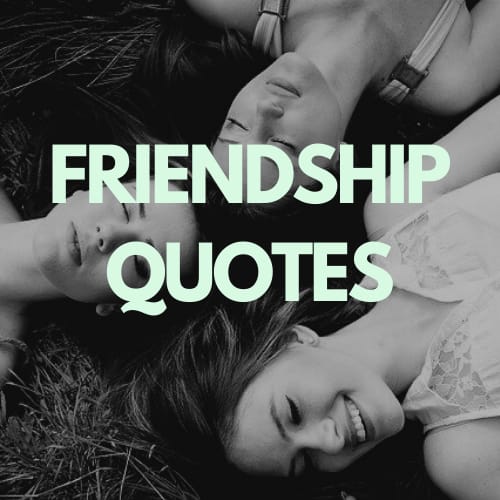 FRIENDSHIP QUOTES