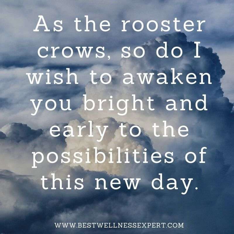 As the rooster crows, so do I wish to awaken you bright and early to the possibilities of this new day.