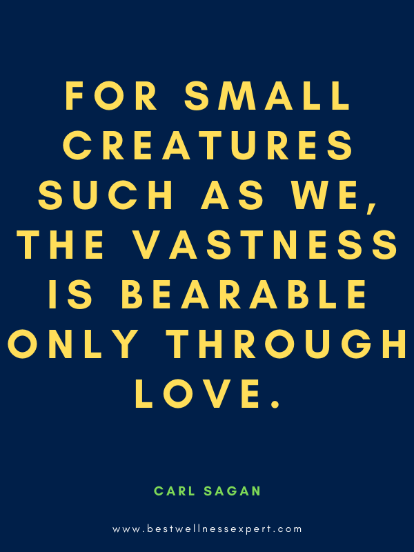 For small creatures such as we, the vastness is bearable only through love.