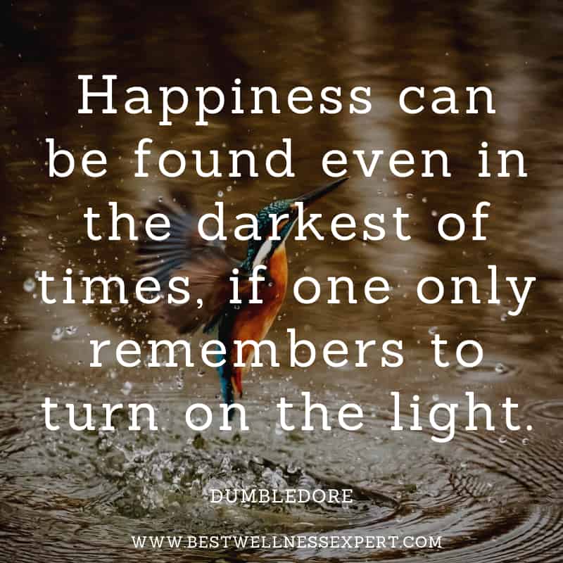 Happiness can be found even in the darkest of times, if one only remembers to turn on the light