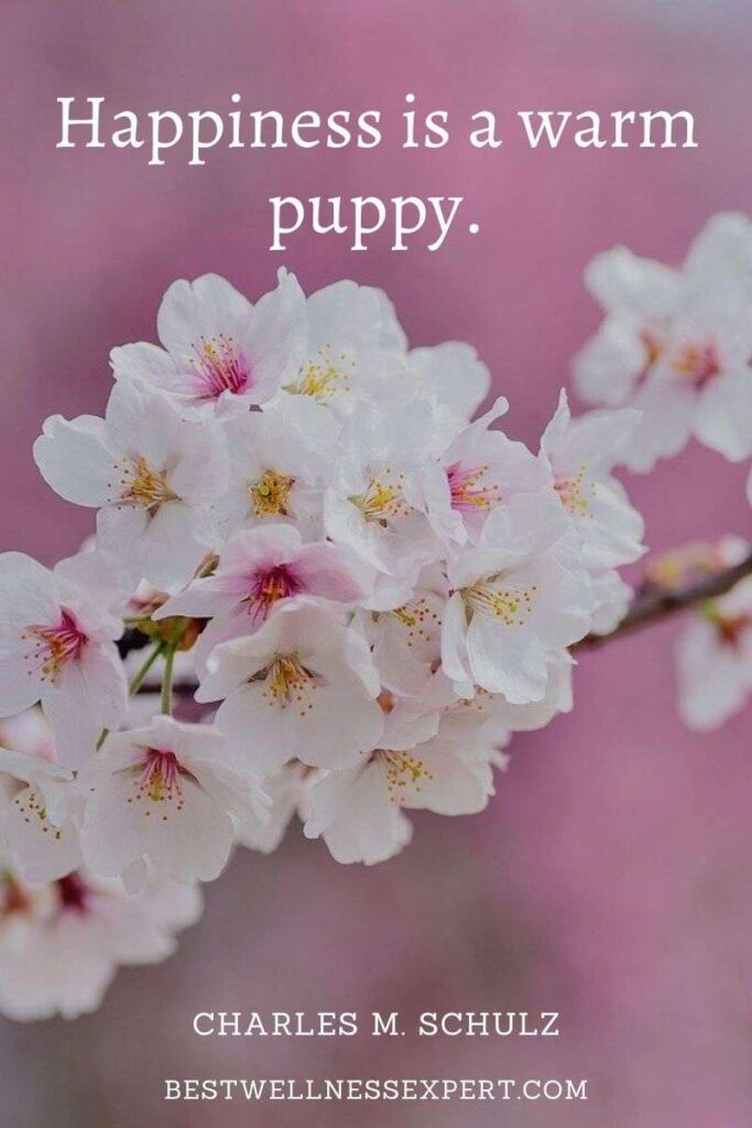 Happiness is a warm puppy.