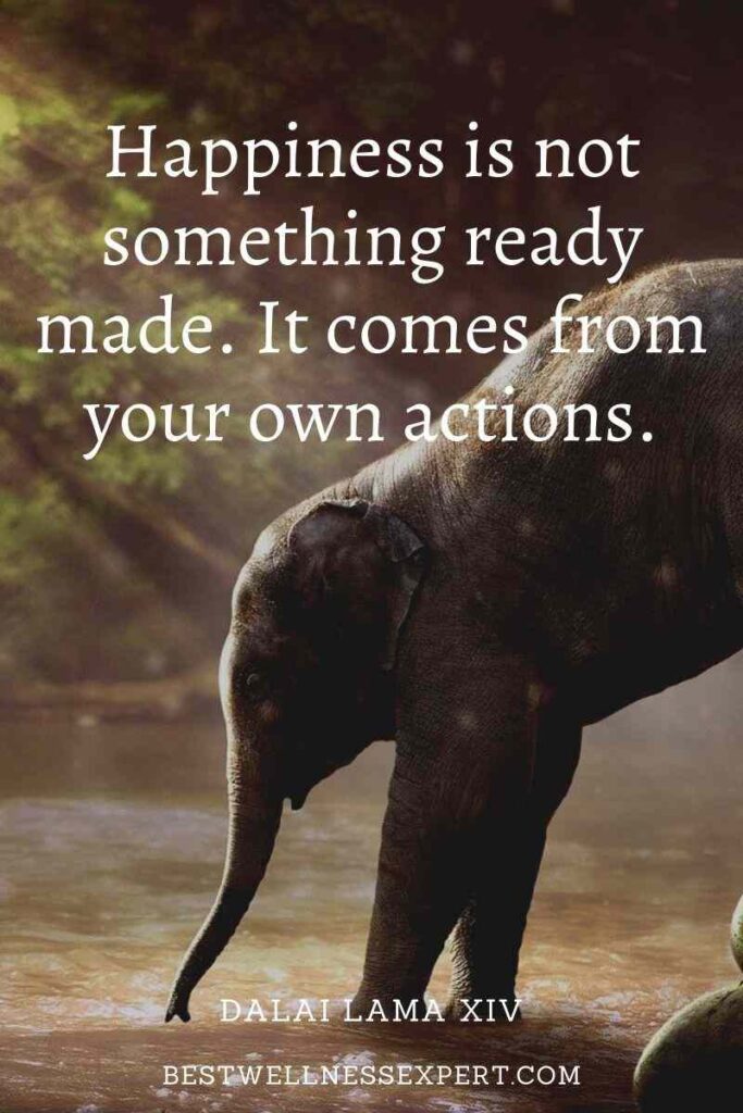 Happiness is not something ready made. It comes from your own actions.