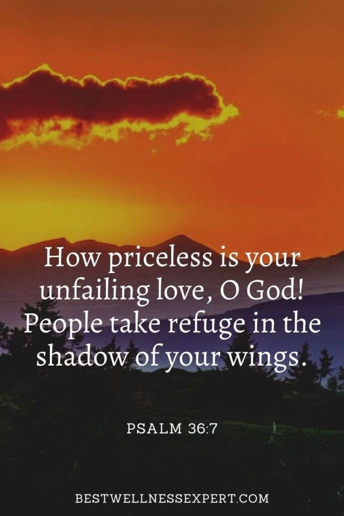How priceless is your unfailing love, O God! People take refuge in the shadow of your wings.