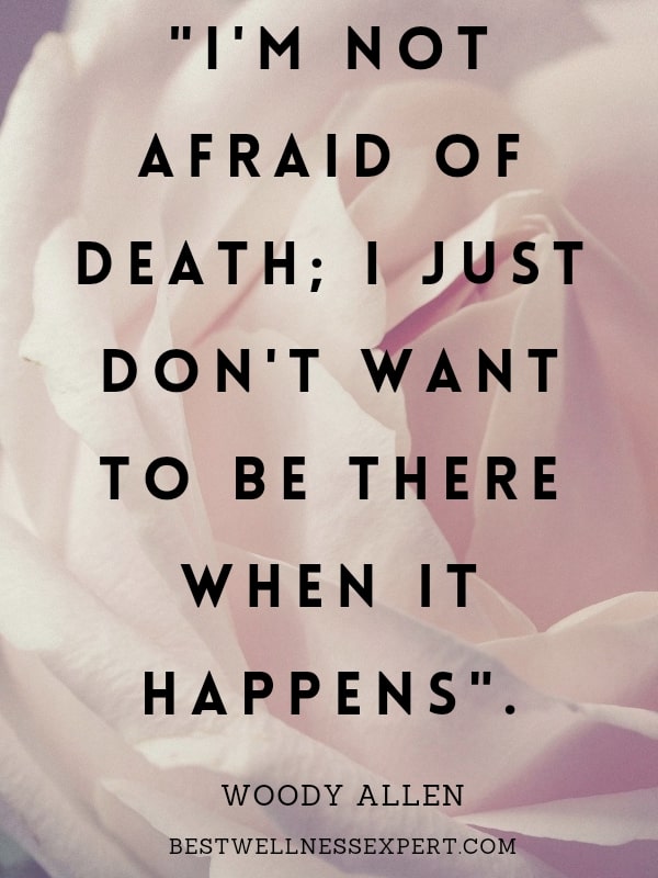 I am not afraid of death, I just don't want to be there when it happens