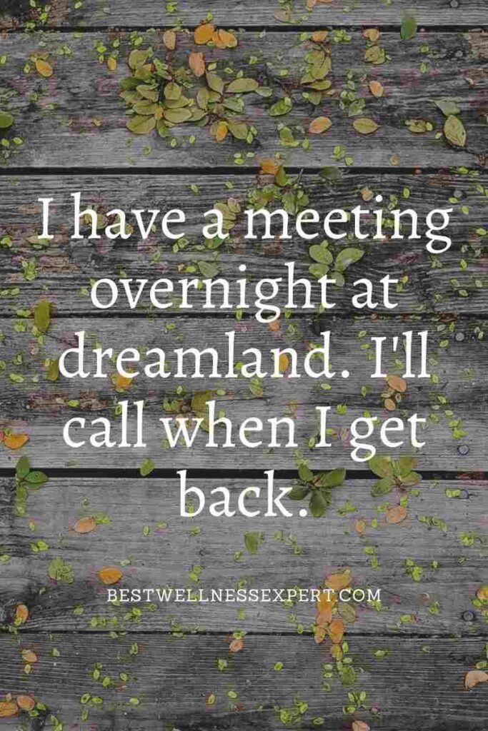 I have a meeting overnight at dreamland. I'll call when I get back.