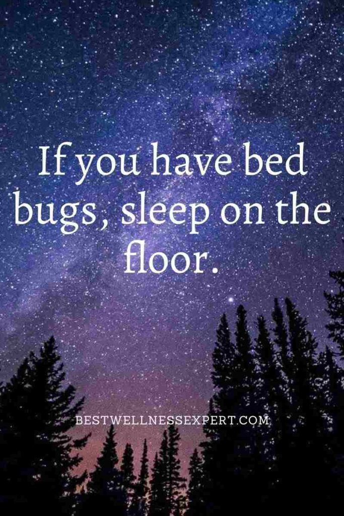 If you have bed bugs, sleep on the floor.