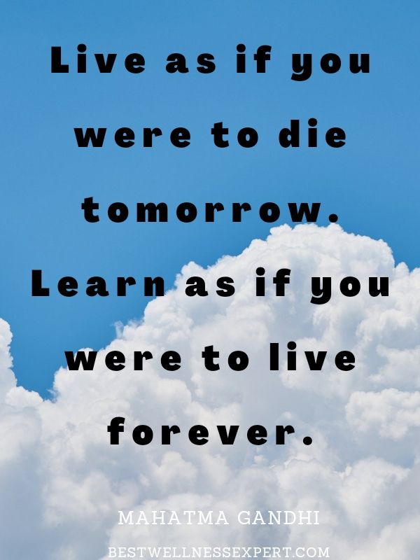 Live as if you were to die tomorrow. Learn as if you were to live forever.