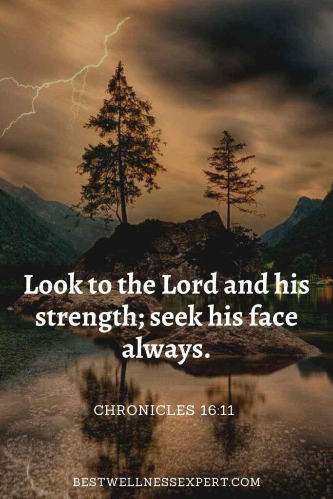 Look to the Lord and his strength; seek his face always.
