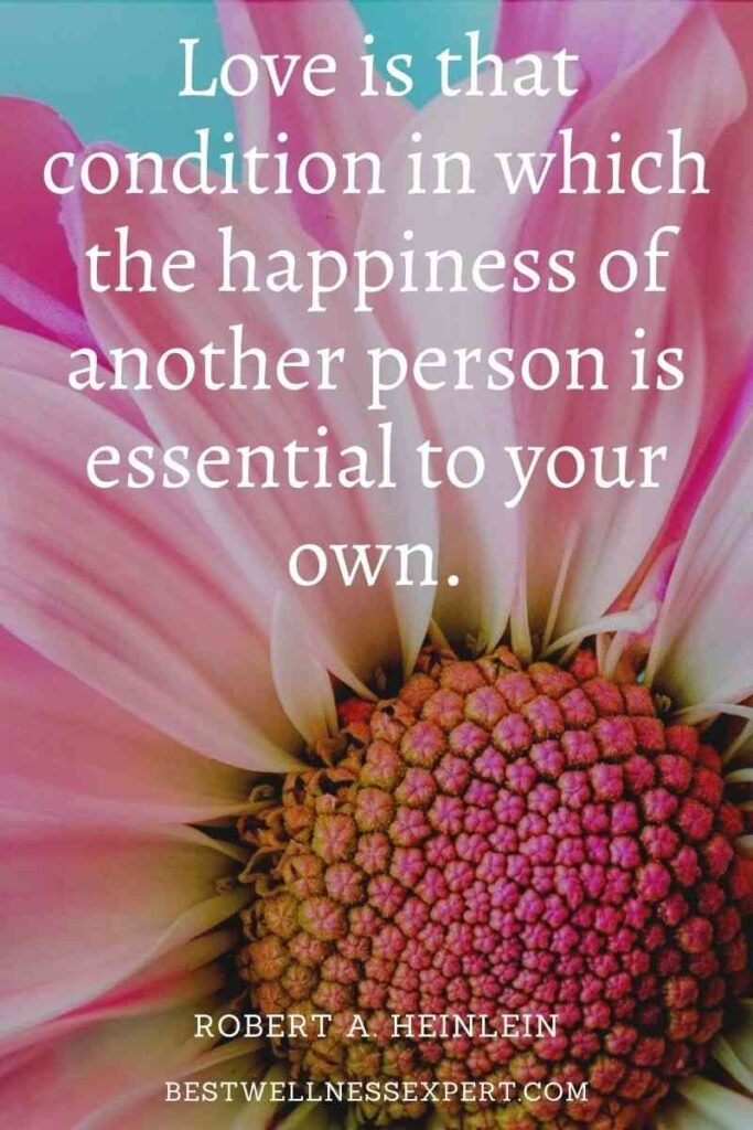 Love is that condition in which the happiness of another person is essential to your own.