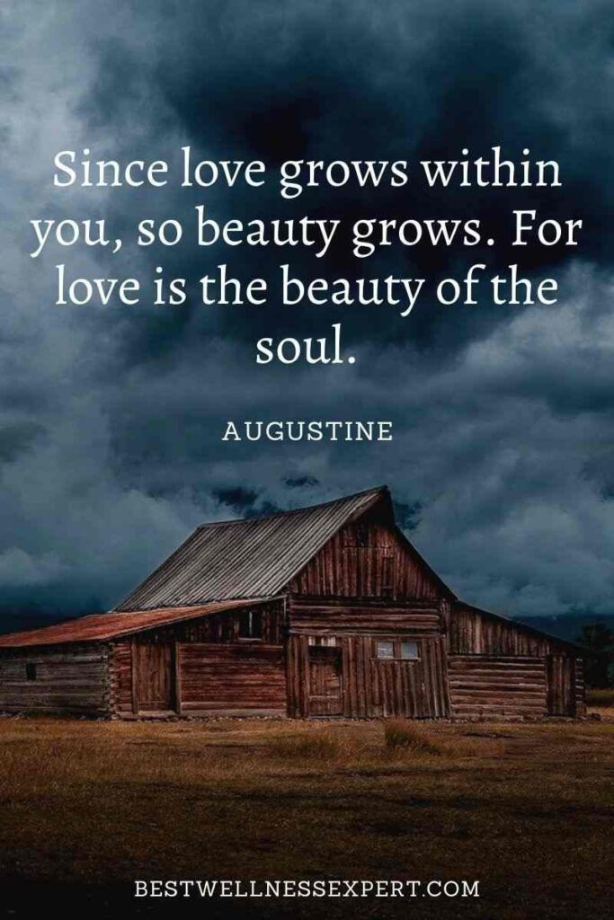 Since love grows within you, so beauty grows. For love is the beauty of the soul.