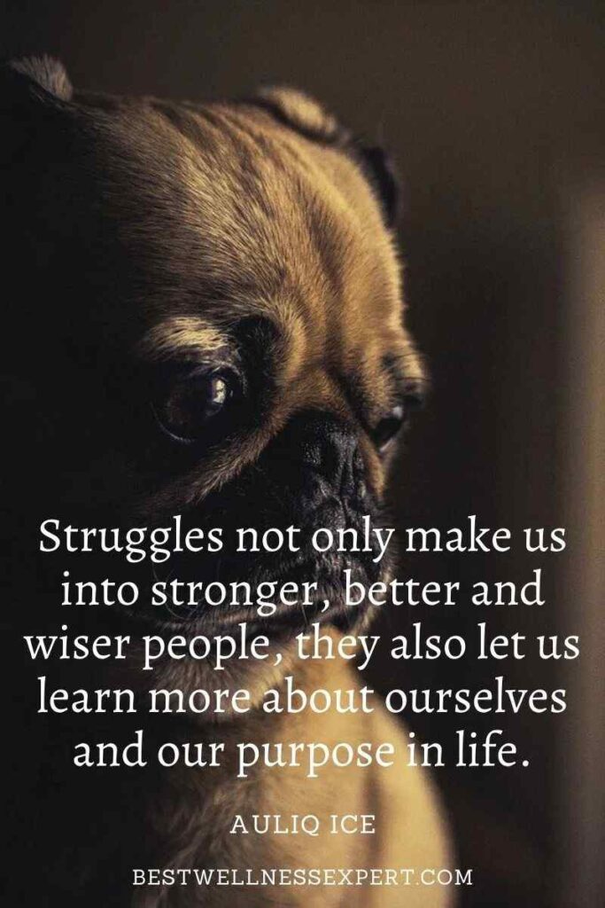 Struggles not only make us into stronger, better and wiser people, they also let us learn more about ourselves and our purpose in life.