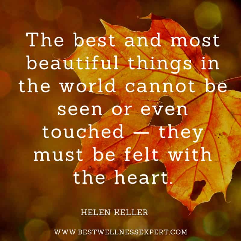 The best and most beautiful things in the world cannot be seen or even touched — they must be felt with the heart