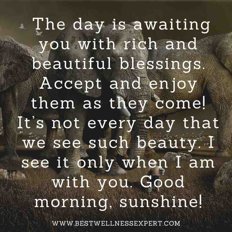 101 Inspirational and Motivational Good morning image Quotes