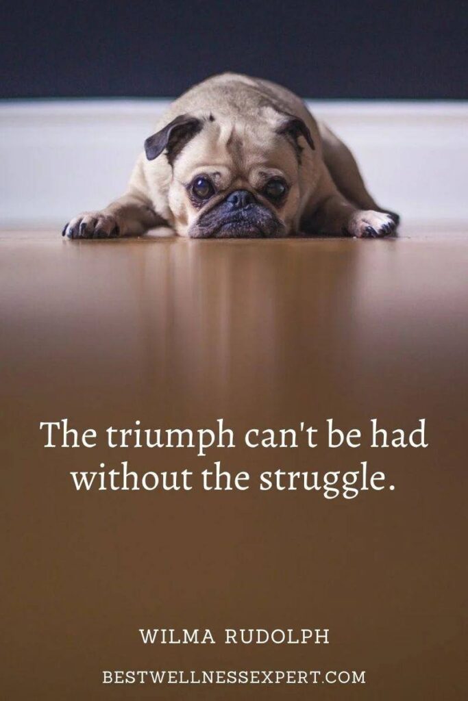 The triumph can't be had without the struggle.