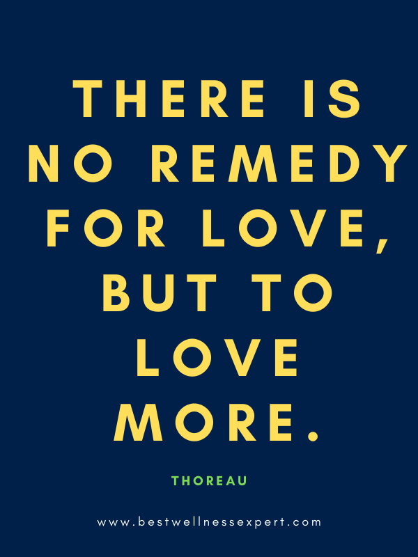 There is no remedy for love, but to love more.