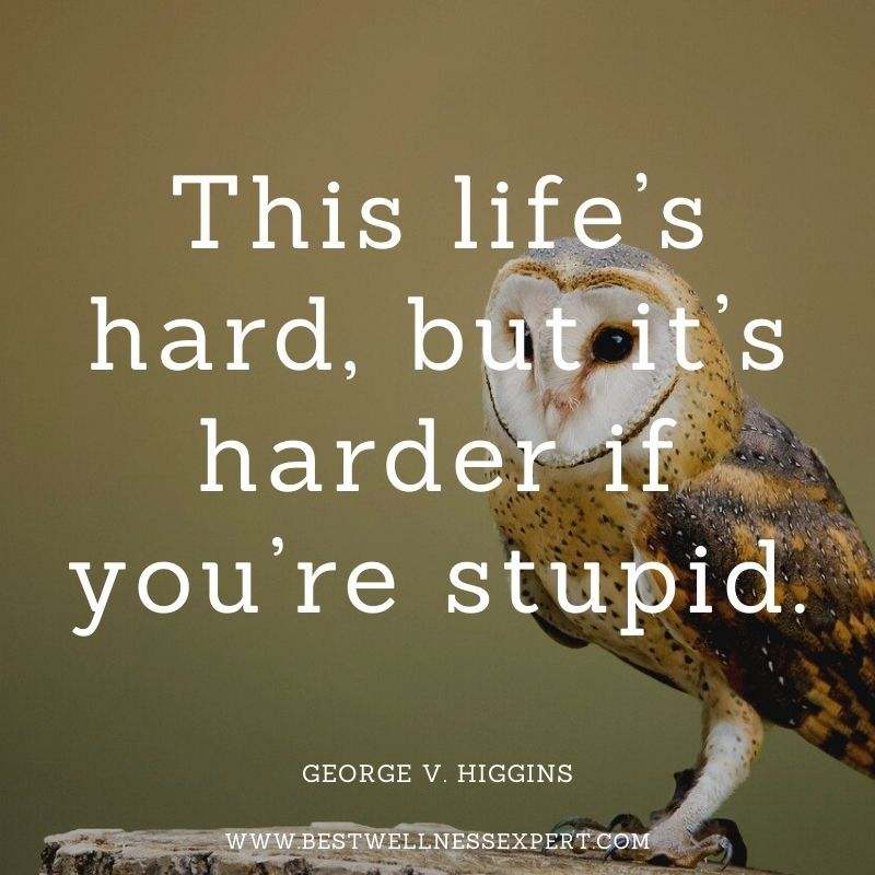 This life’s hard, but it’s harder if you’re stupid.