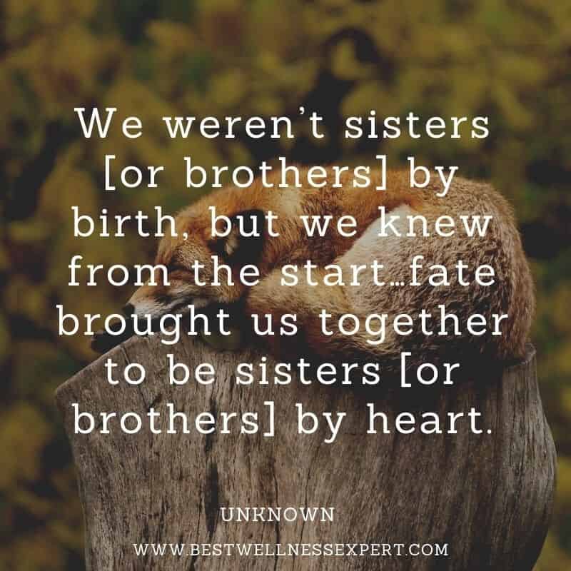 83 True Friends, Old friends, And New Friends Quotes.