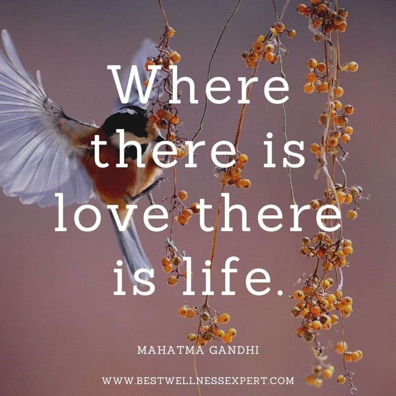 Where there is love there is life.