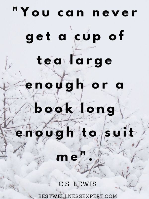 You can never get a cup of tea large enough or a book long enough to suit me.