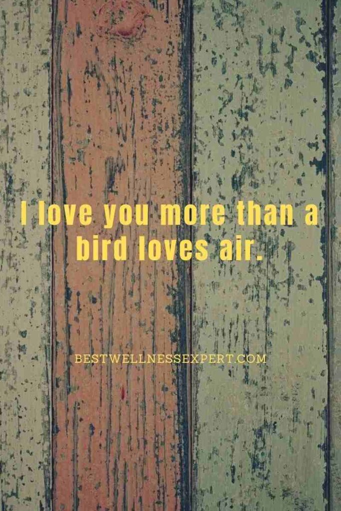 I love you more than a bird loves air.