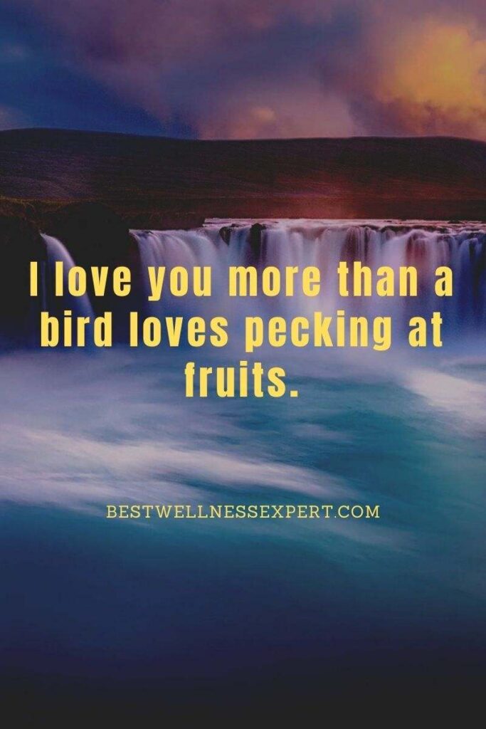 I love you more than a bird loves pecking at fruits.