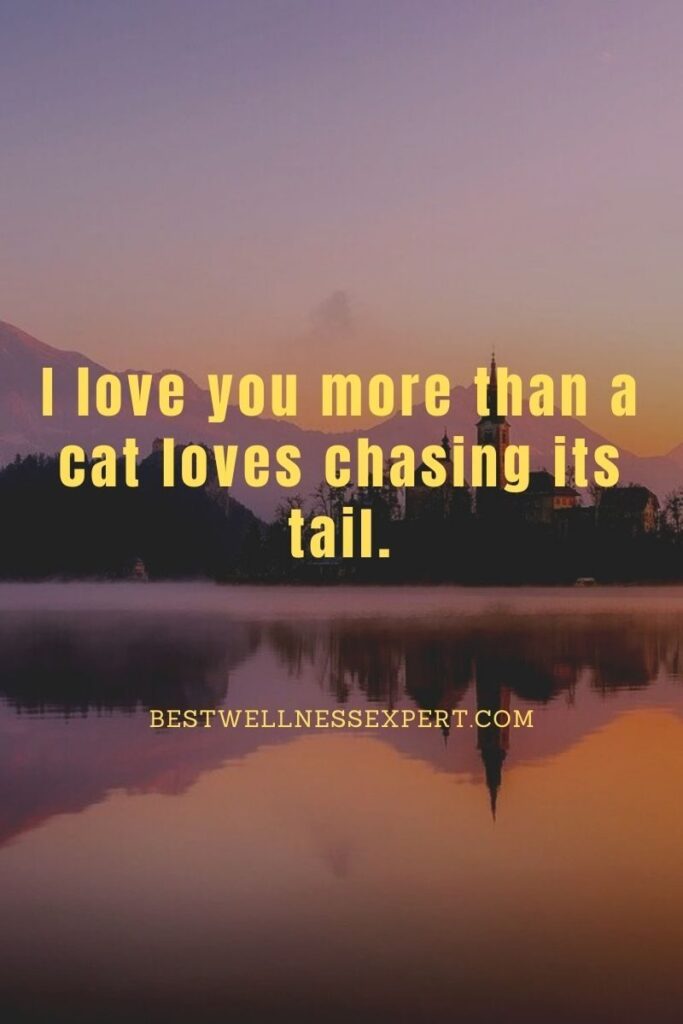 I love you more than a cat loves chasing its tail.