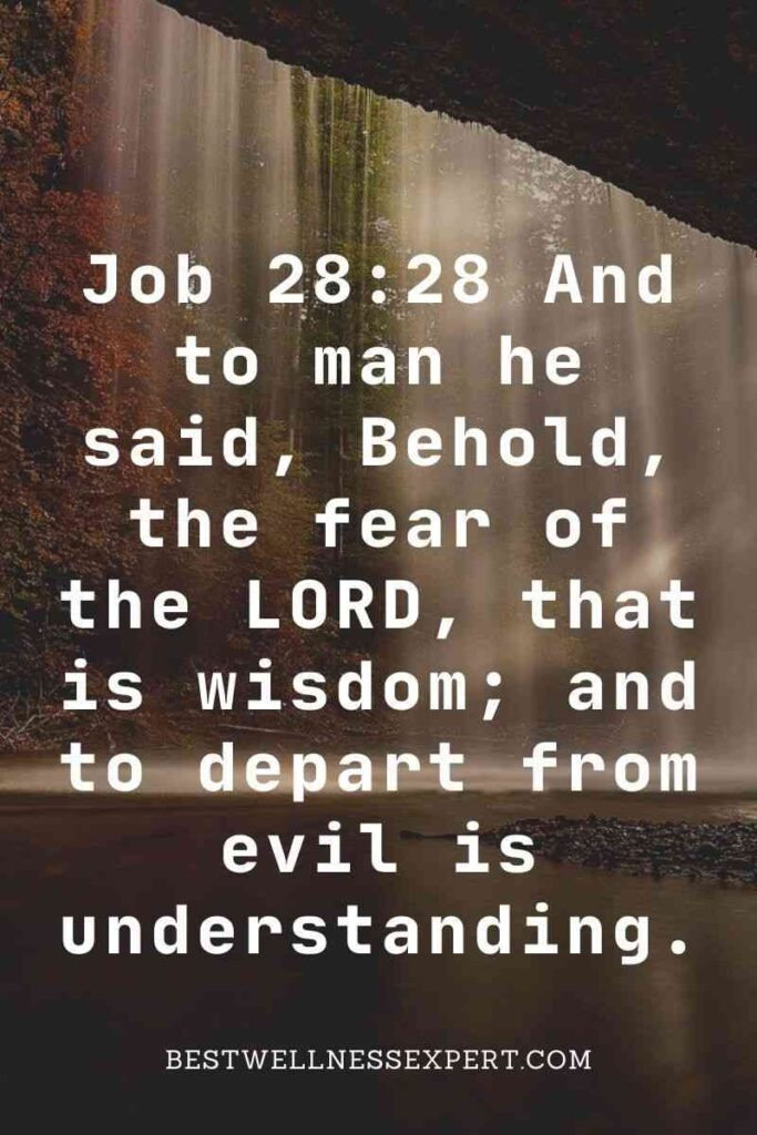 Wisdom Comes From God Alone!