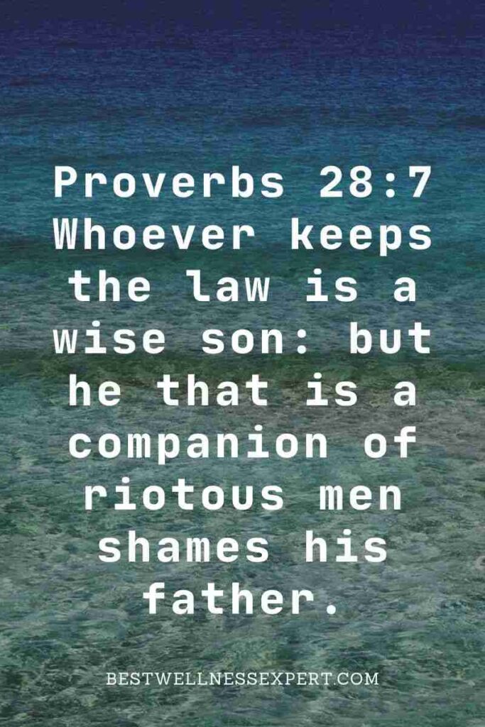 Proverbs 28:7 Whoever keeps the law is a wise son but he that is a companion of riotous men shames his father.