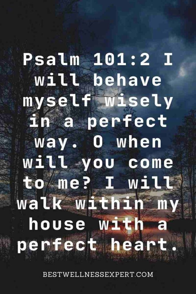 Psalm 101:2 I will behave myself wisely in a perfect way. O when will you come to me I will walk within my house with a perfect heart.