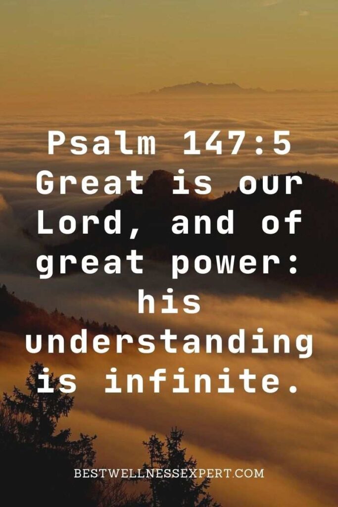 Psalm 147:5 Great is our Lord, and of great power his understanding is infinite. 