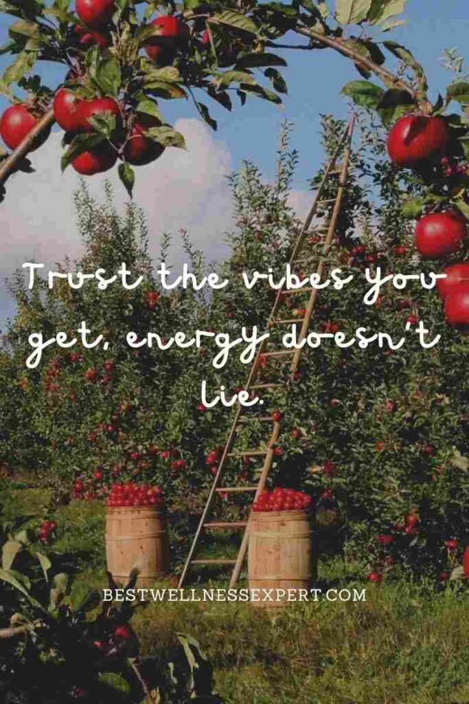 Trust the vibes you get, energy doesn't lie.