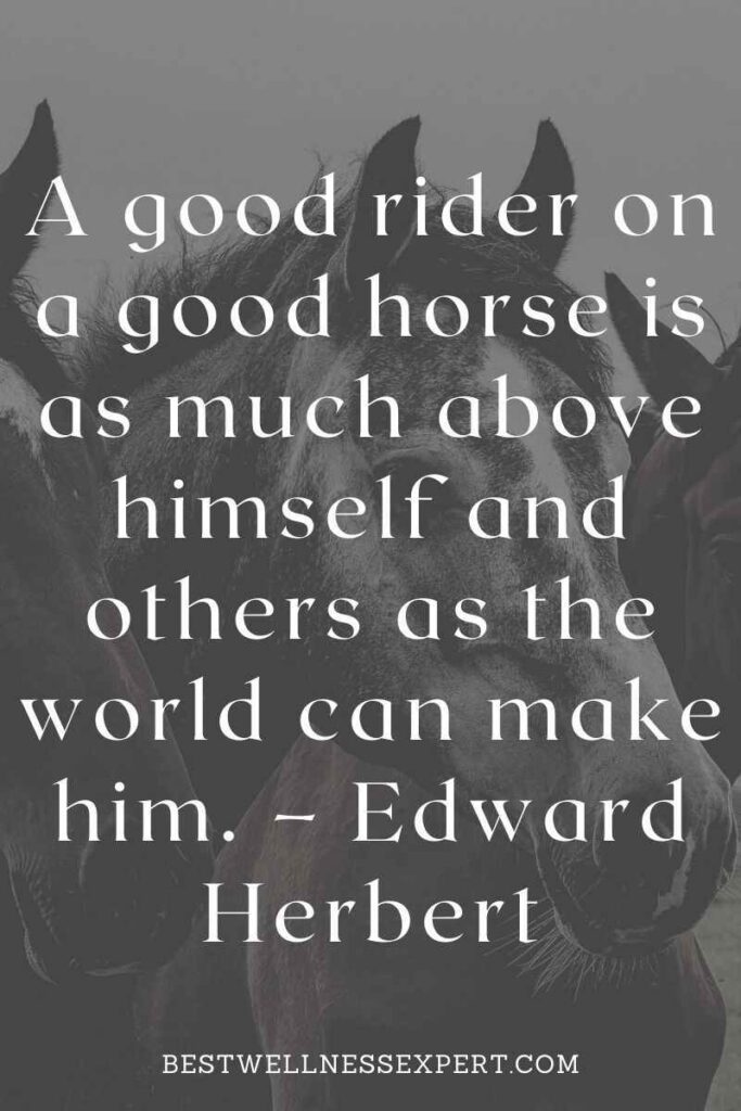 Horse riding quotes for inspiration.