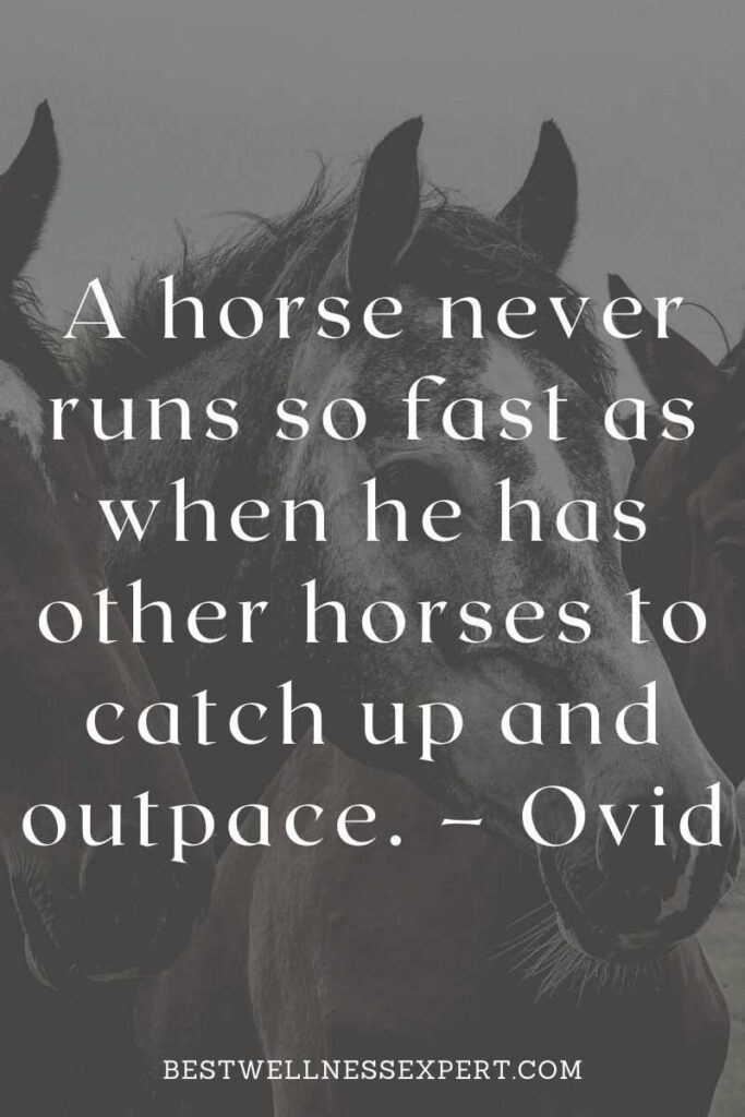 A horse never runs so fast as when he has other horses to catch up and outpace. – Ovid