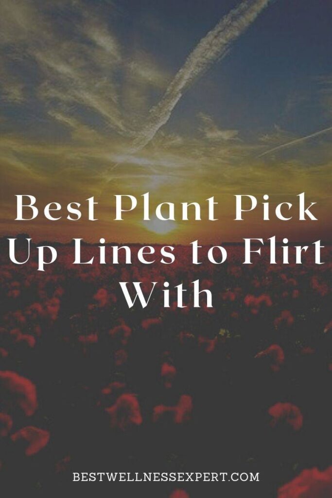 Best Plant Pick Up Lines to Flirt With