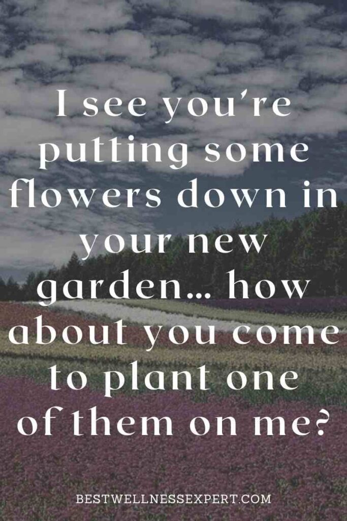 I see you’re putting some flowers down in your new garden… how about you come to plant one of them on me