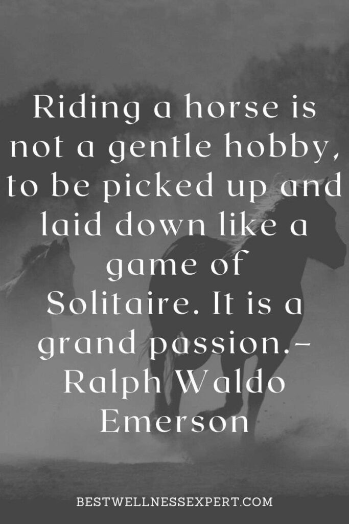 Riding a horse is not a gentle hobby, to be picked up and laid down like a game of Solitaire. It is a grand passion.– Ralph Waldo Emerson