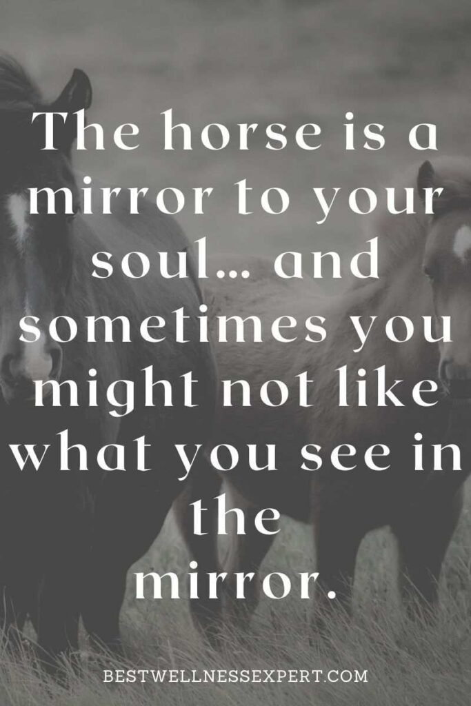 The horse is a mirror to your soul… and sometimes you might not like what you see in the mirror.