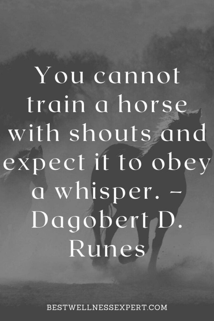 You cannot train a horse with shouts and expect it to obey a whisper. – Dagobert D. Runes