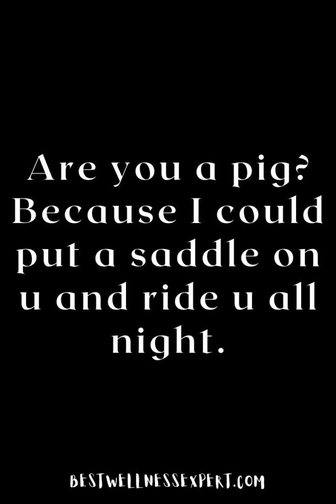 Are you a pig? Because I could put a saddle on u and ride u all night.