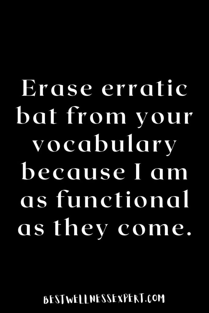 Erase erratic bat from your vocabulary because I am as functional as they come.