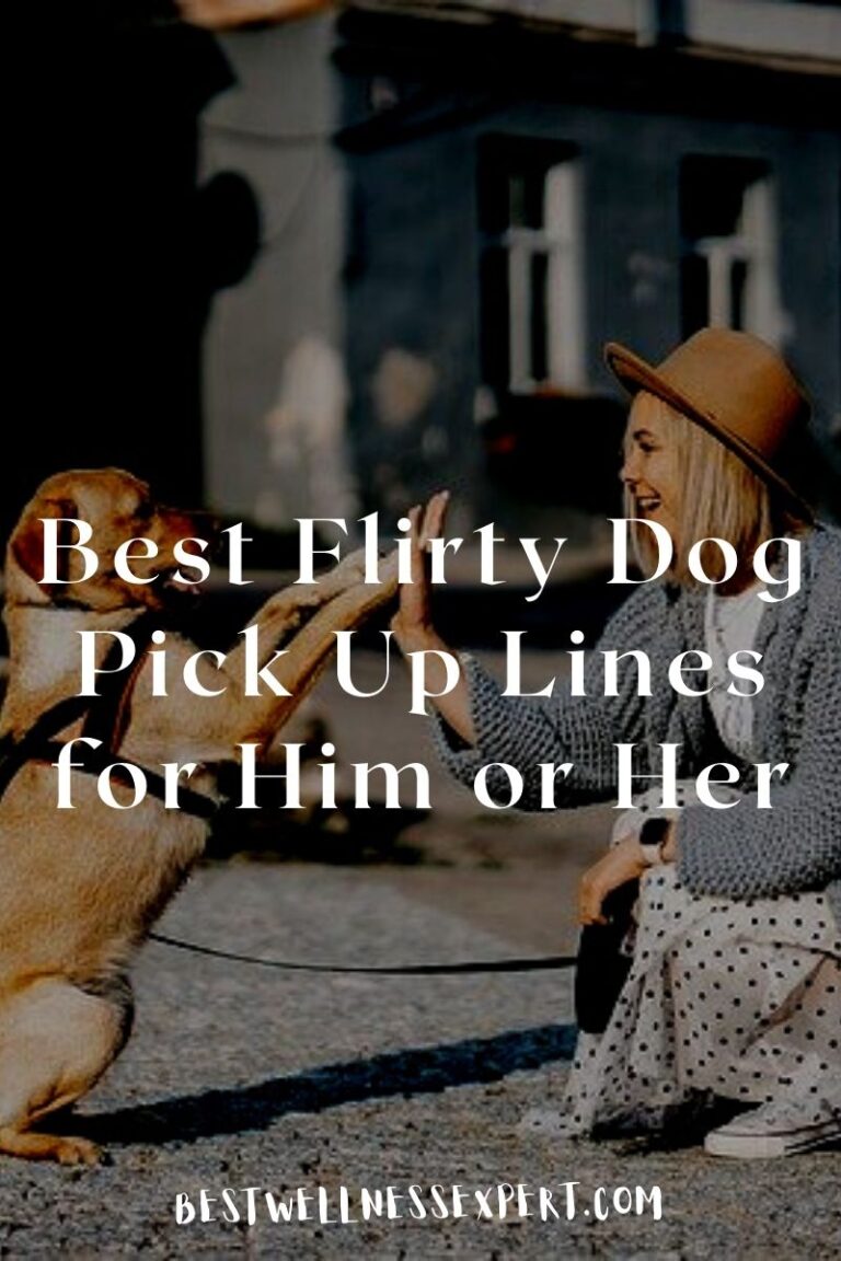 56 Best Flirty Dog Pick Up Lines for Him or Her 2022