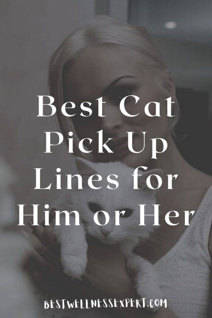 Best Cat Pick Up Lines for Him or Her