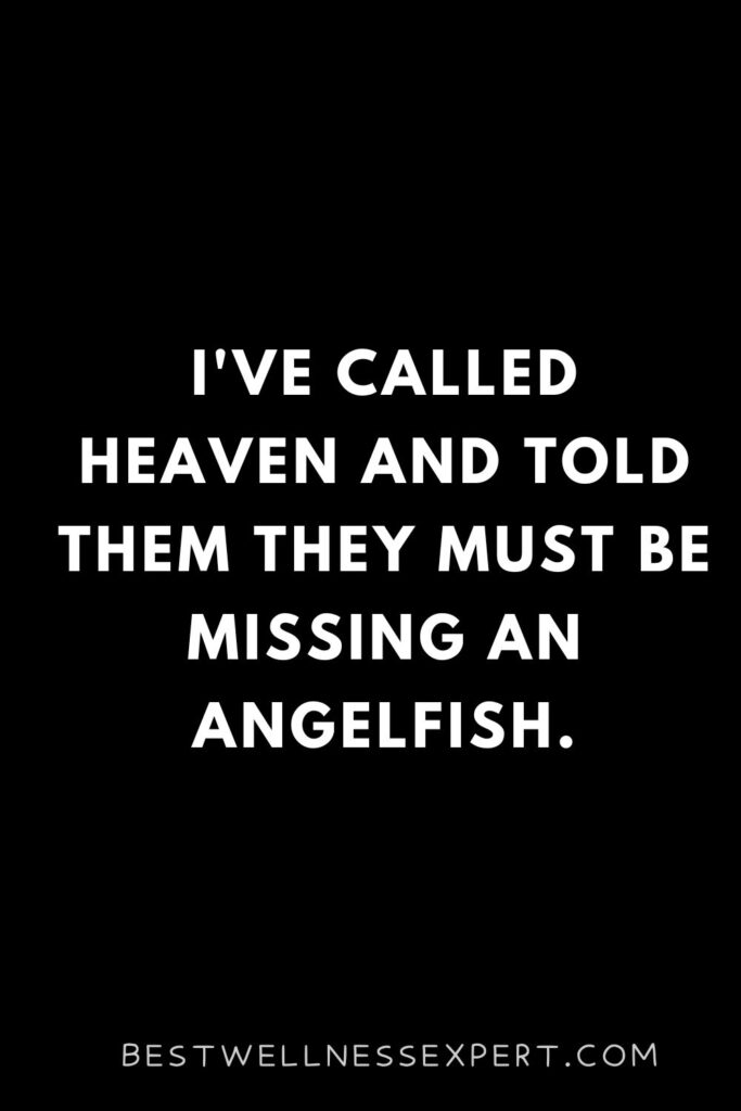 I've called heaven and told them they must be missing an angelfish.