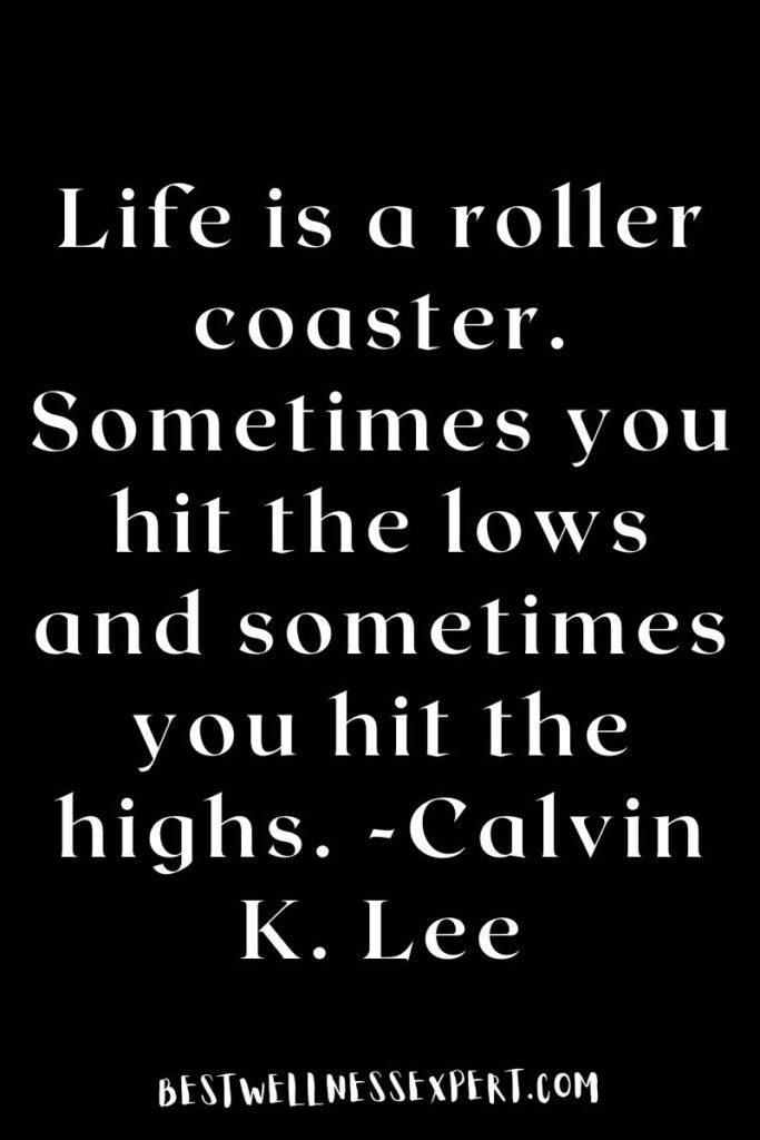 Life is a roller coaster. Sometimes you hit the lows and sometimes you hit the highs. -Calvin K. Lee