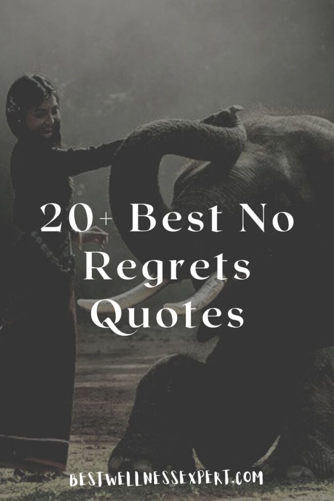 20+ Best No Regrets Quotes