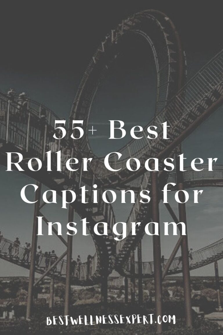55+ Best Roller Coaster Captions for Instagram 2023 Best Wellness Expert