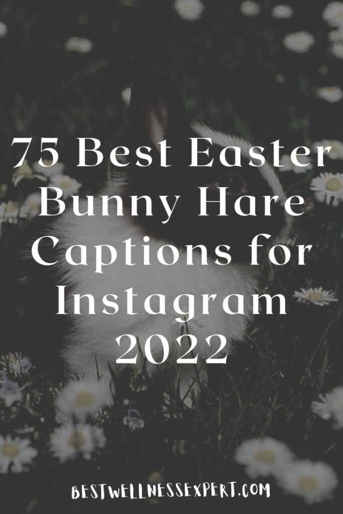 75 Best Easter Bunny Hare Captions for Instagram 2022