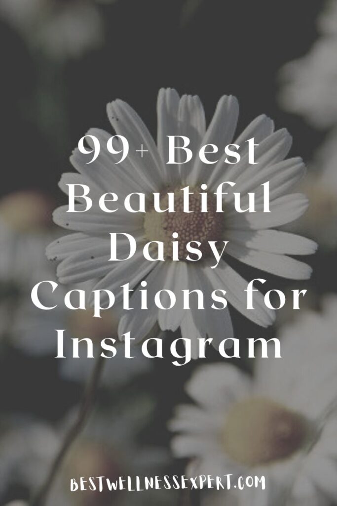 99+ Best Beautiful Daisy Captions for Instagram