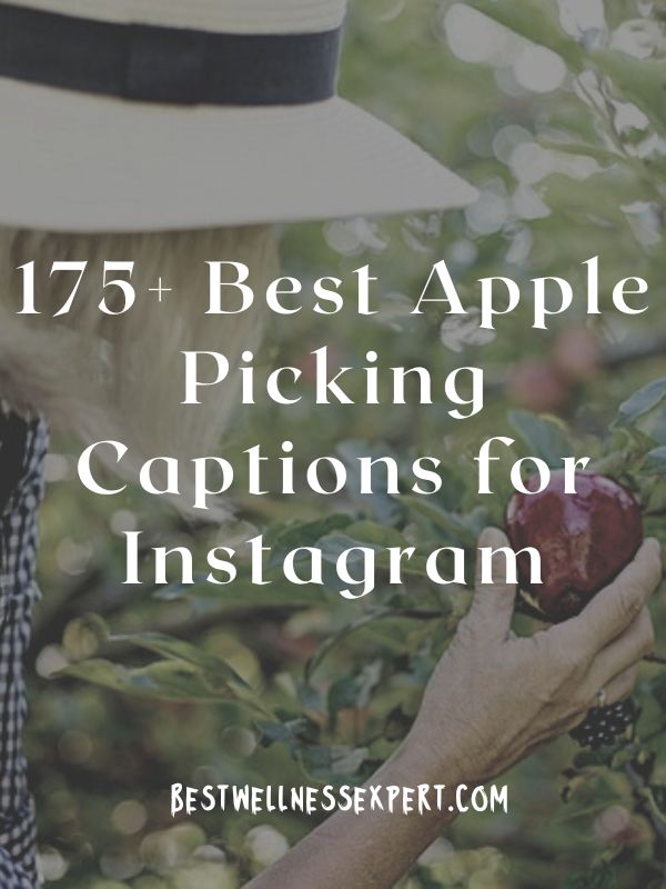 175+ Best Apple Picking Captions for Instagram