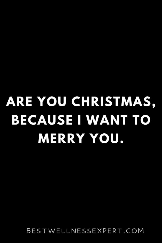 Are you Christmas, because I want to Merry you.